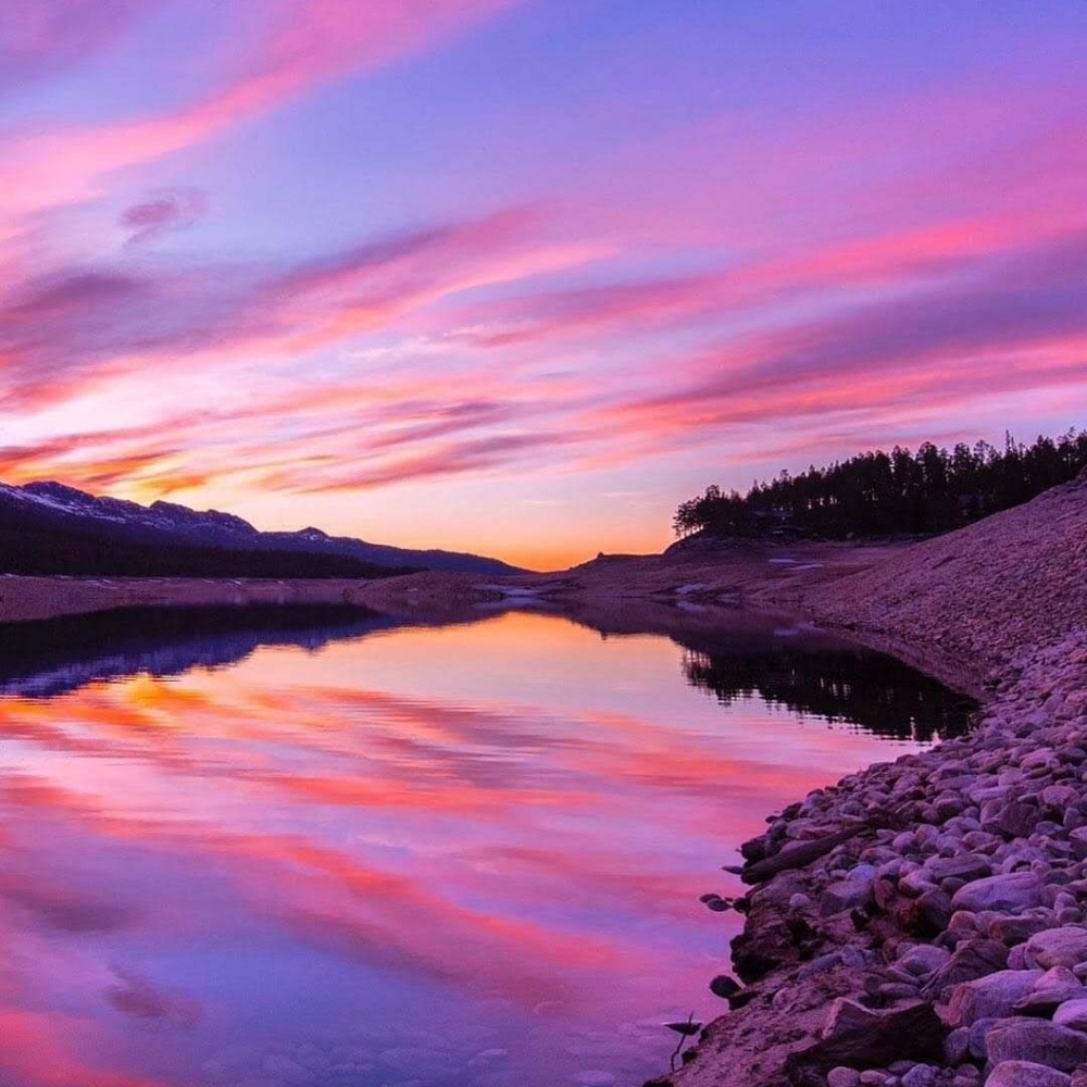 Meet your Posher, Shaunna